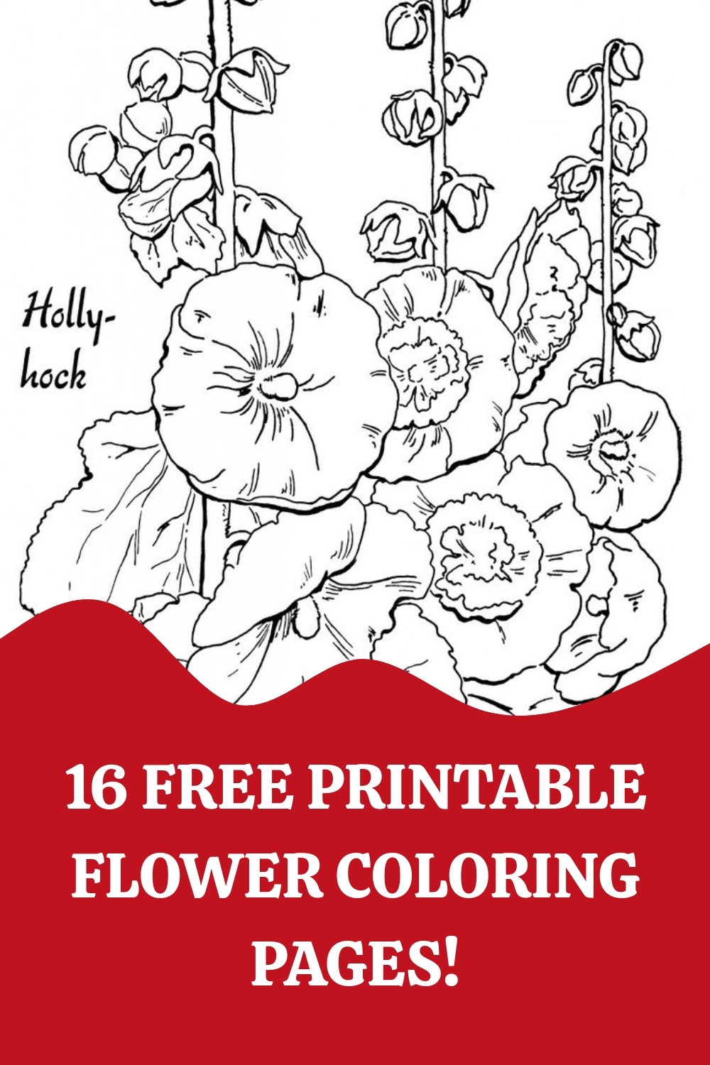 Coloring Pages Free Printable Flowers