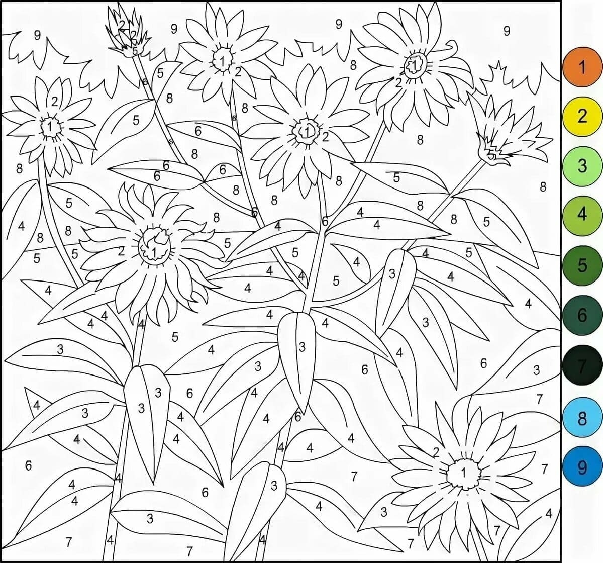 Color By Number Painting For Adults