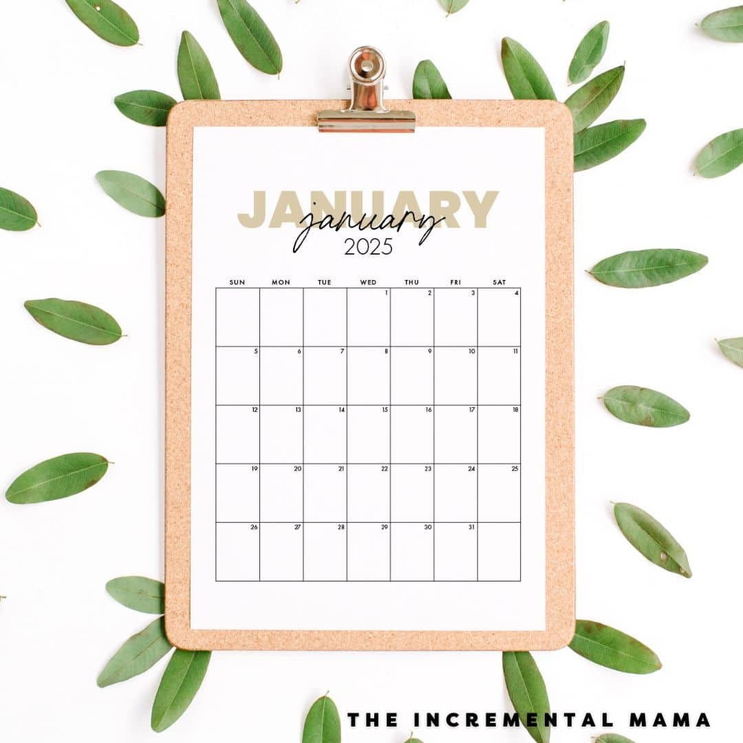 January 2025 Calendar Free Printable