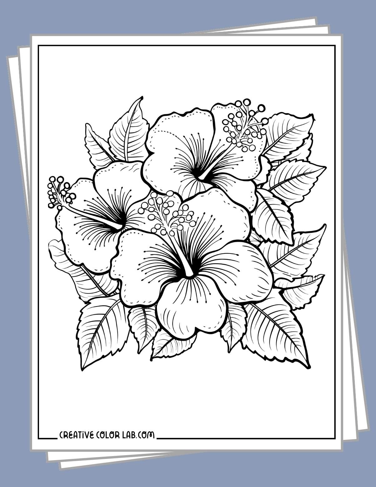 Free Flower Coloring Pages Printable
