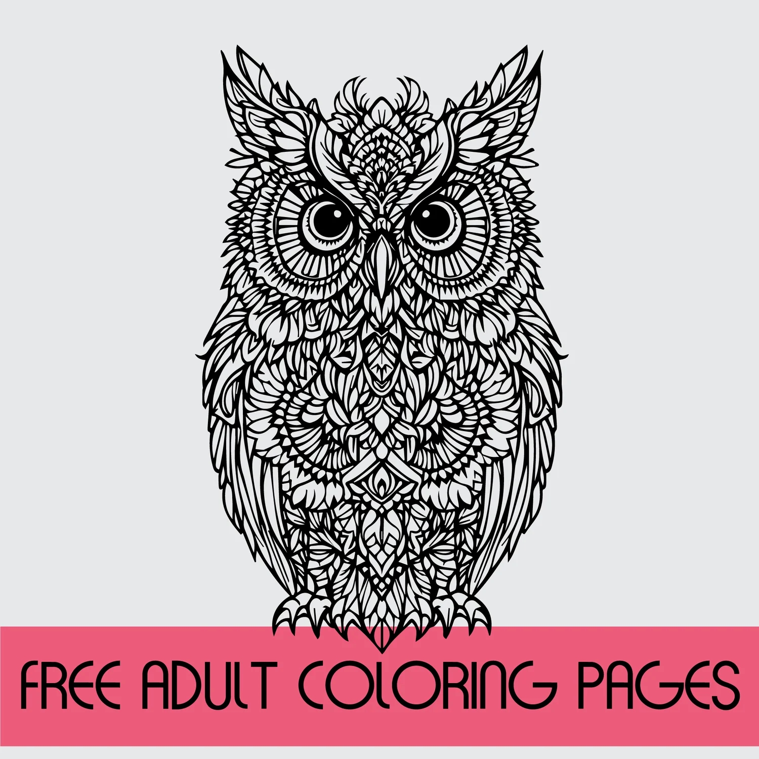Adult Colouring Printables Free
