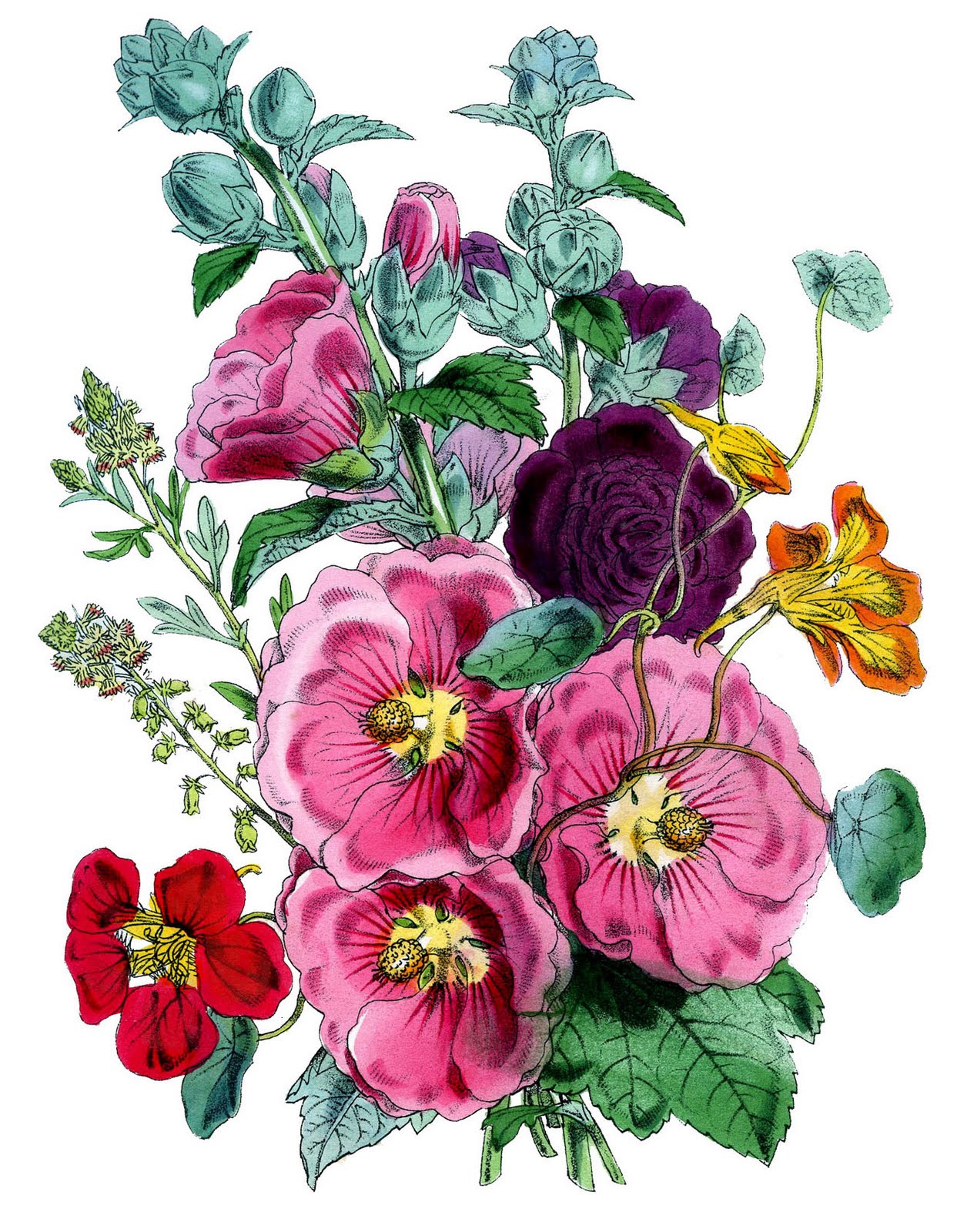 672 Vintage Flower Images The Graphics Fairy