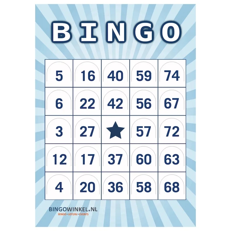 Bingo Cards Cardboard Push Out Blue I Bingowinkel nl