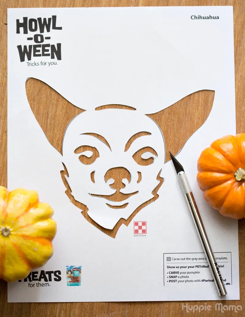 Carve A Dog Pumpkin Our Potluck Family