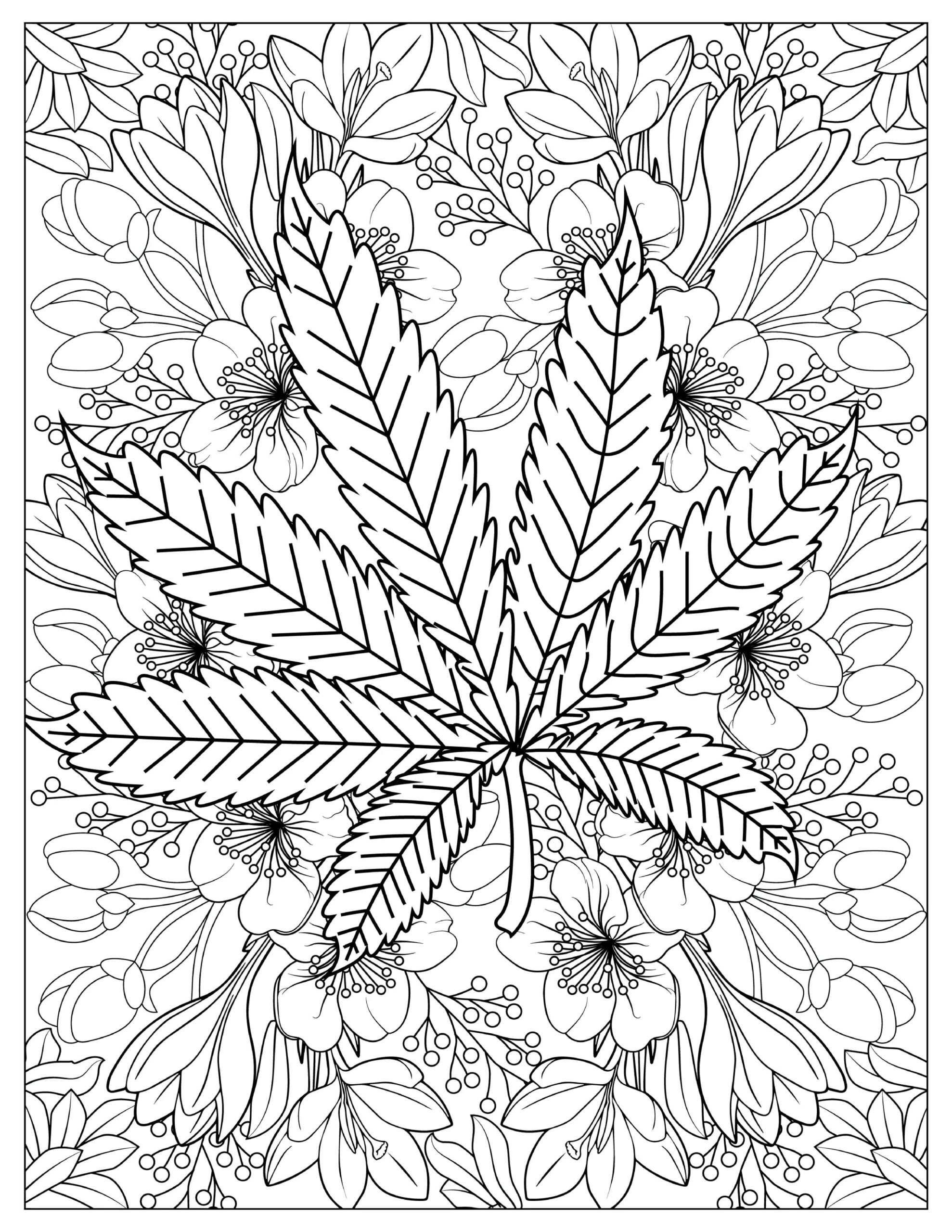 Free Printable Coloring Pages Adults