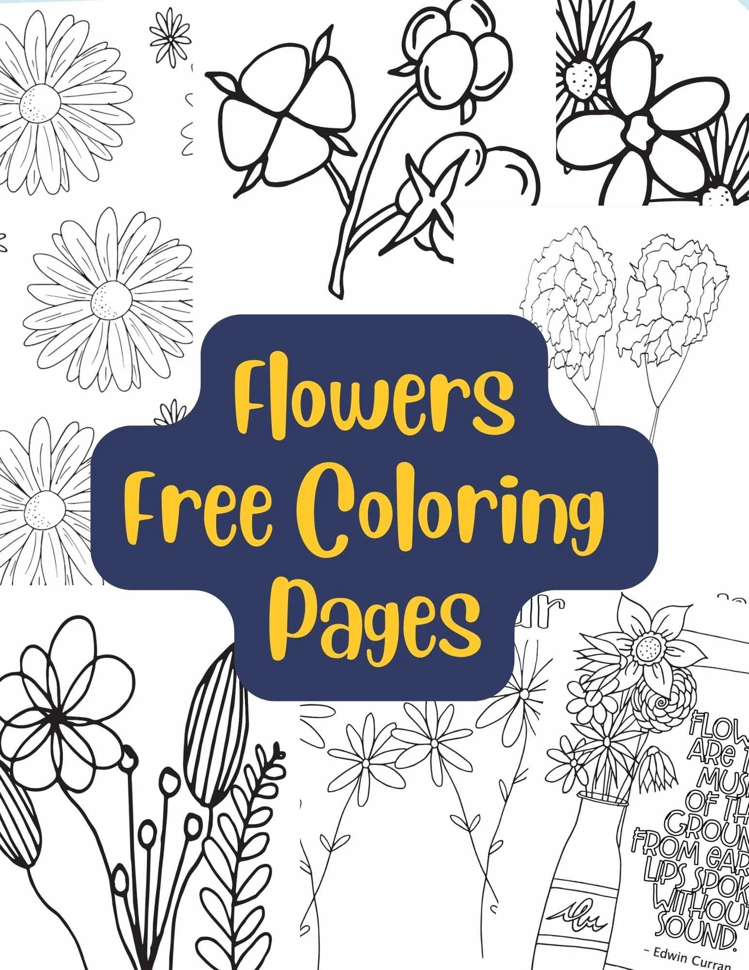 Free Flower Coloring Pages Stevie Doodles