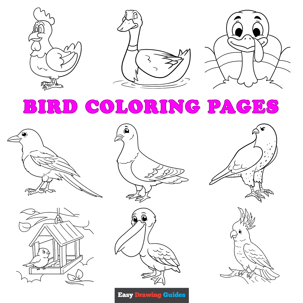 Free Printable Pictures Of Birds