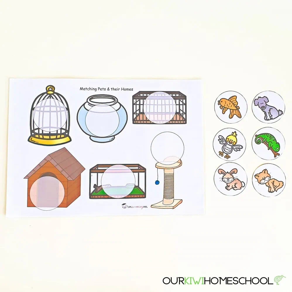 Our Preschool Learning Folder U0026 Why You Should Make One Too Our Kiwi Homeschool