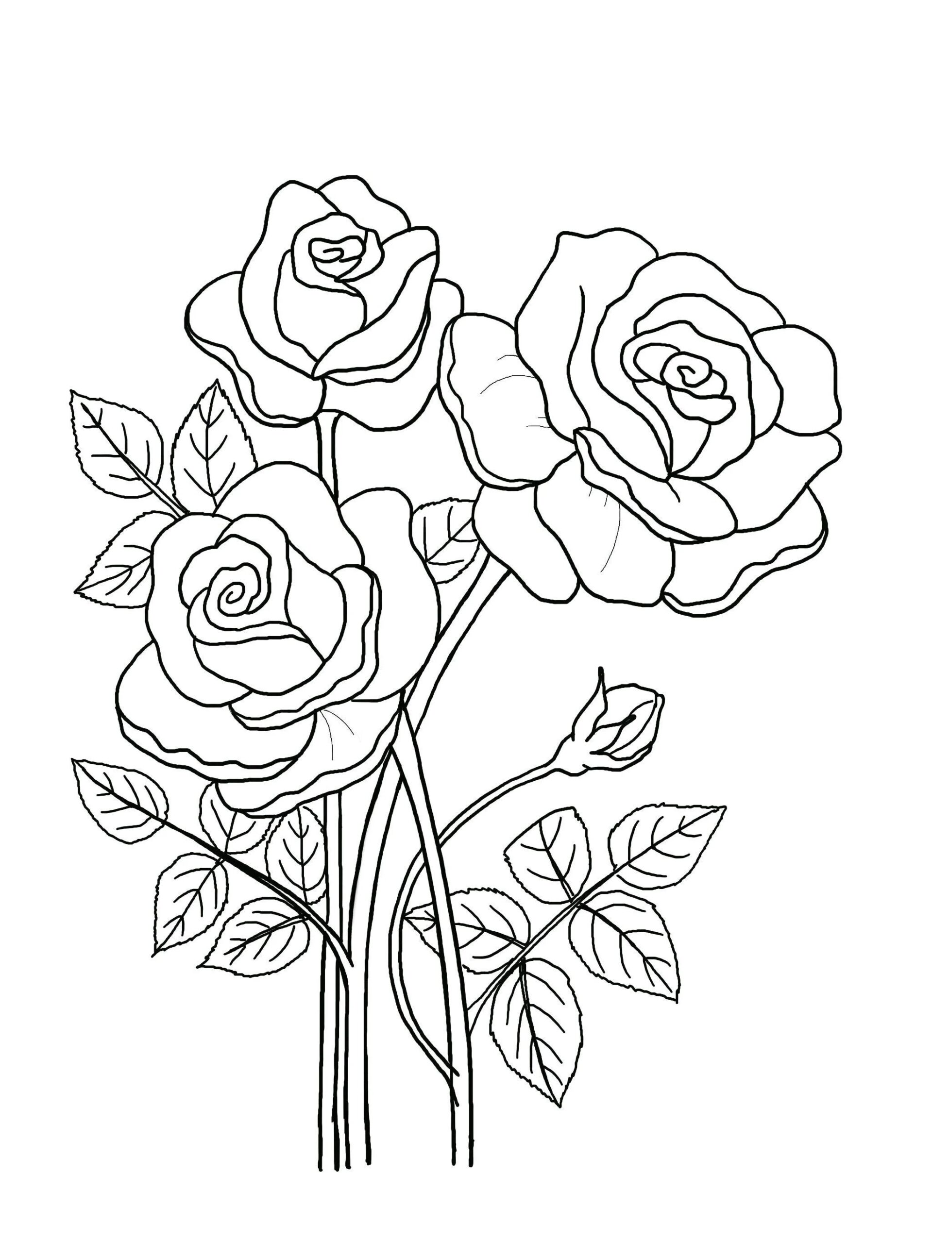Printable Floral Coloring Sheets Coloring Pages Adult Coloring 