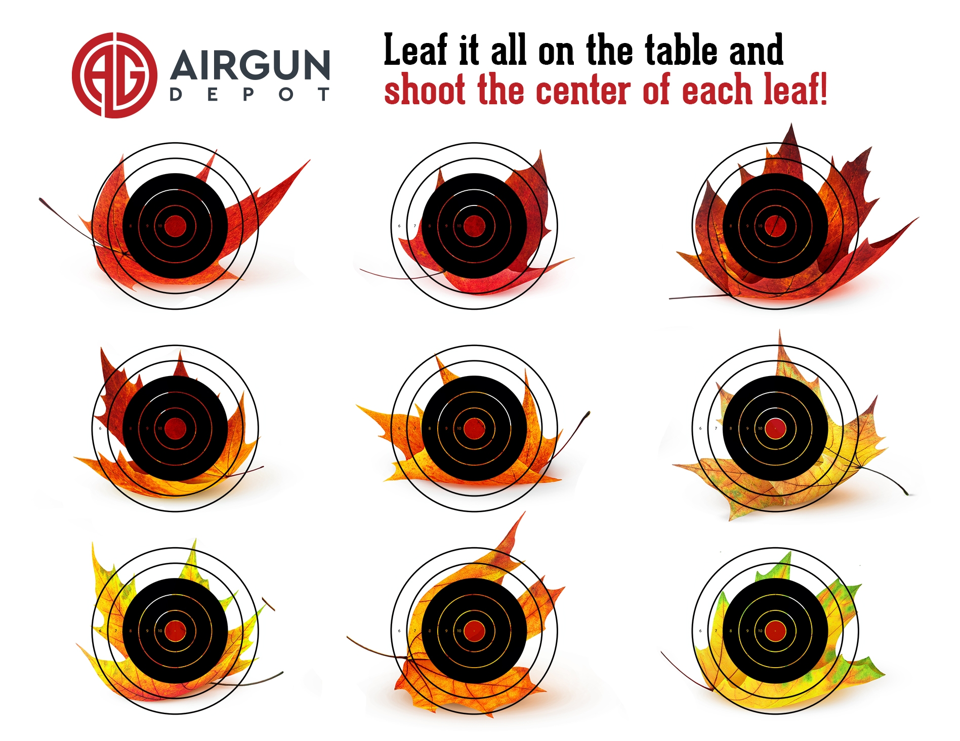 Air Rifle Targets Printable Free Air Rifle Targets Printable Free