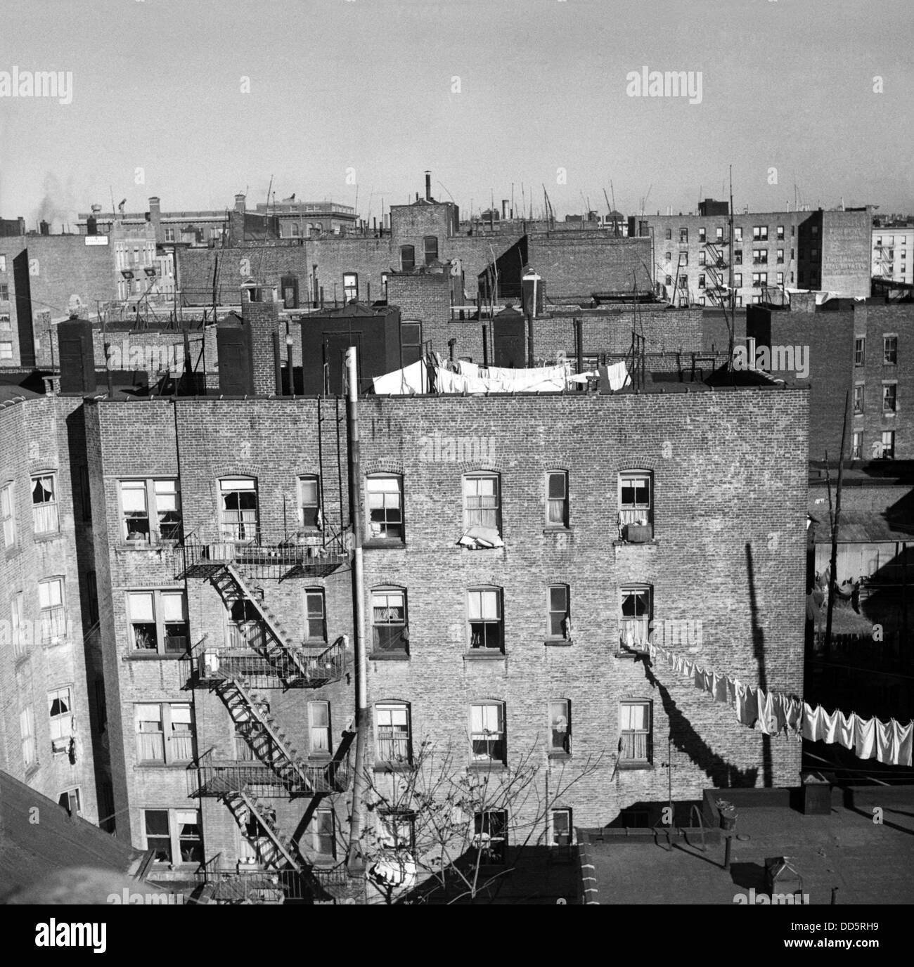 The Bronx Black And White Stock Photos Images Alamy