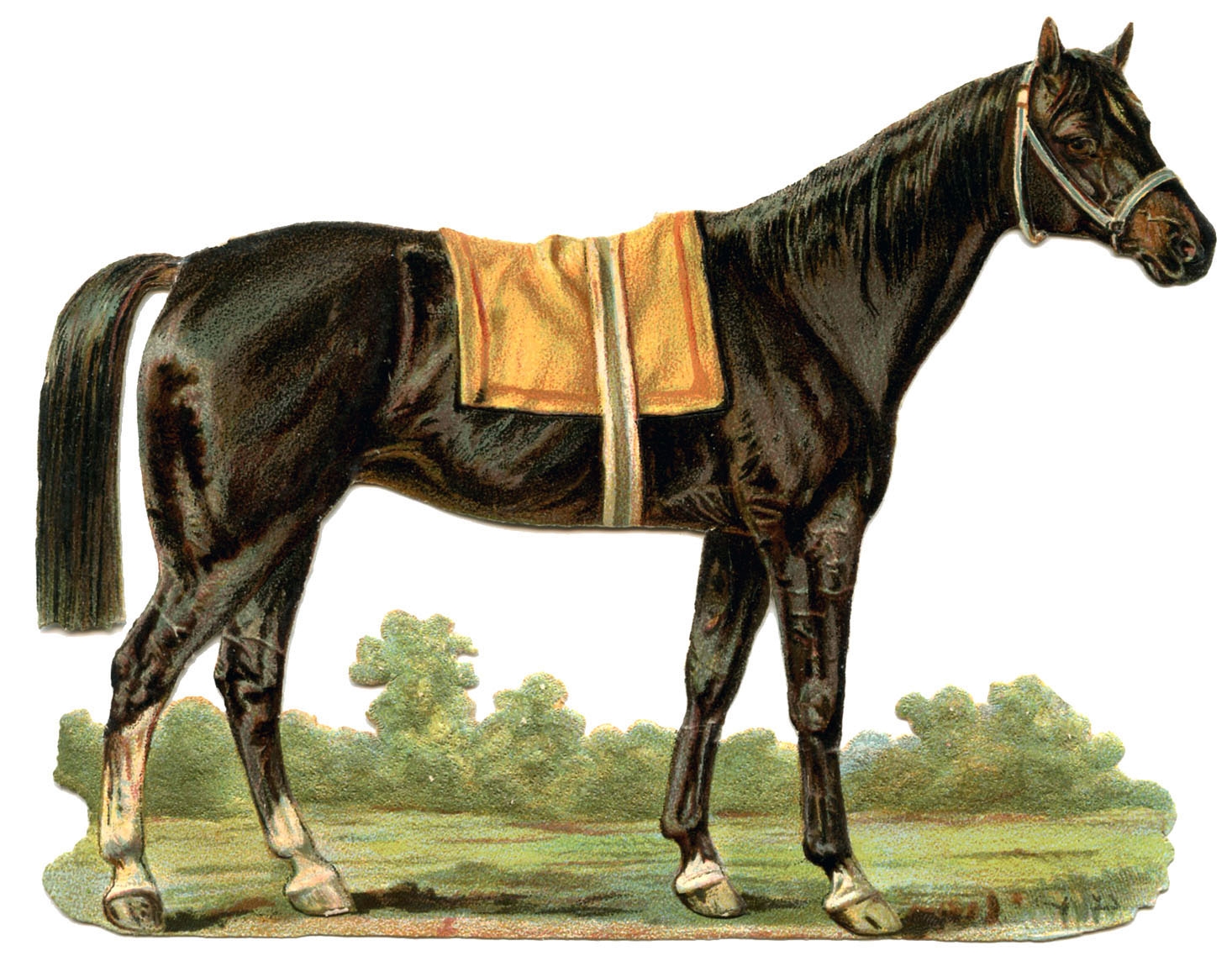 19 Horse Clip Art Horses Clipart The Graphics Fairy