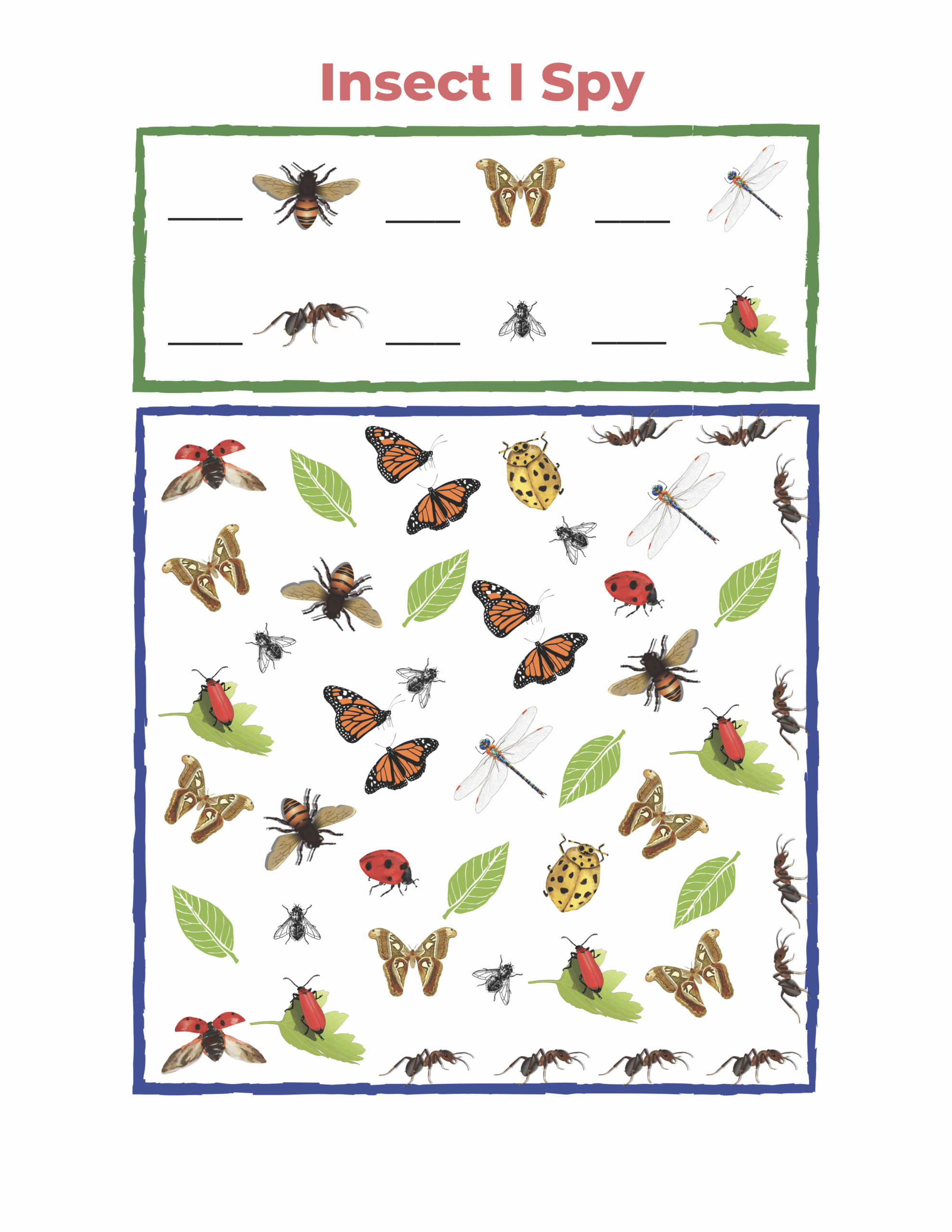 Free Insect Printables For Preschoolers