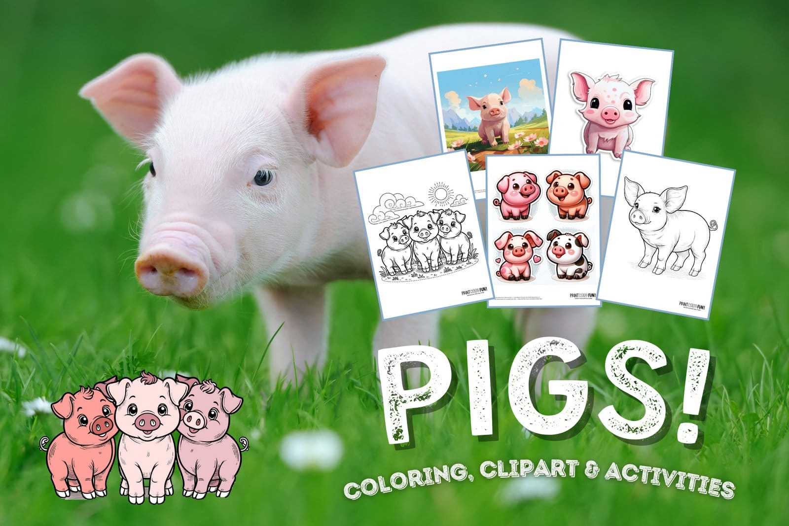 30 Pig Clipart Coloring Pages Go Hog Wild With Our Exclusive Collection At PrintColorFun
