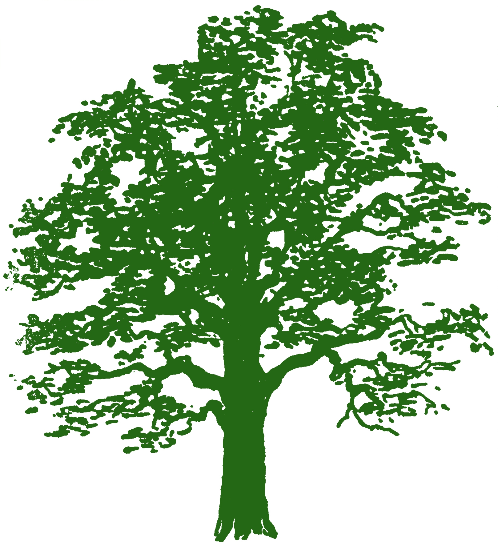 48 Tree Clipart Trees Images Free The Graphics Fairy