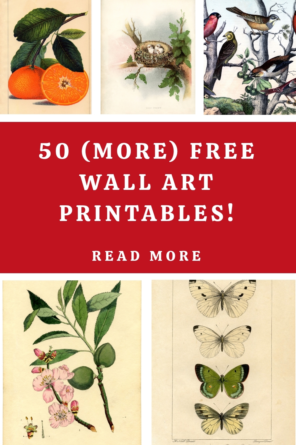 50 More Free Wall Art Printables The Graphics Fairy
