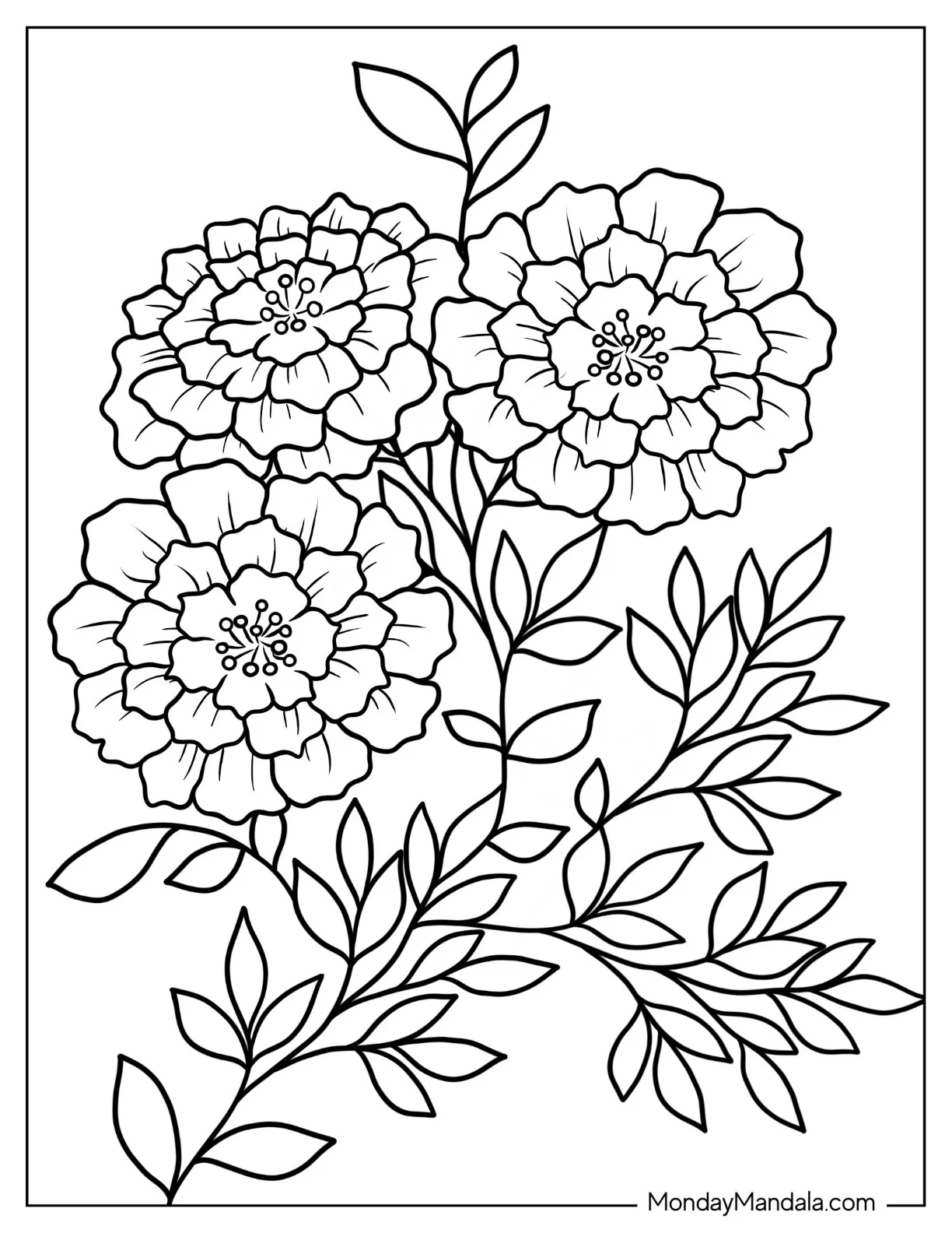 Free Color Sheets Printable