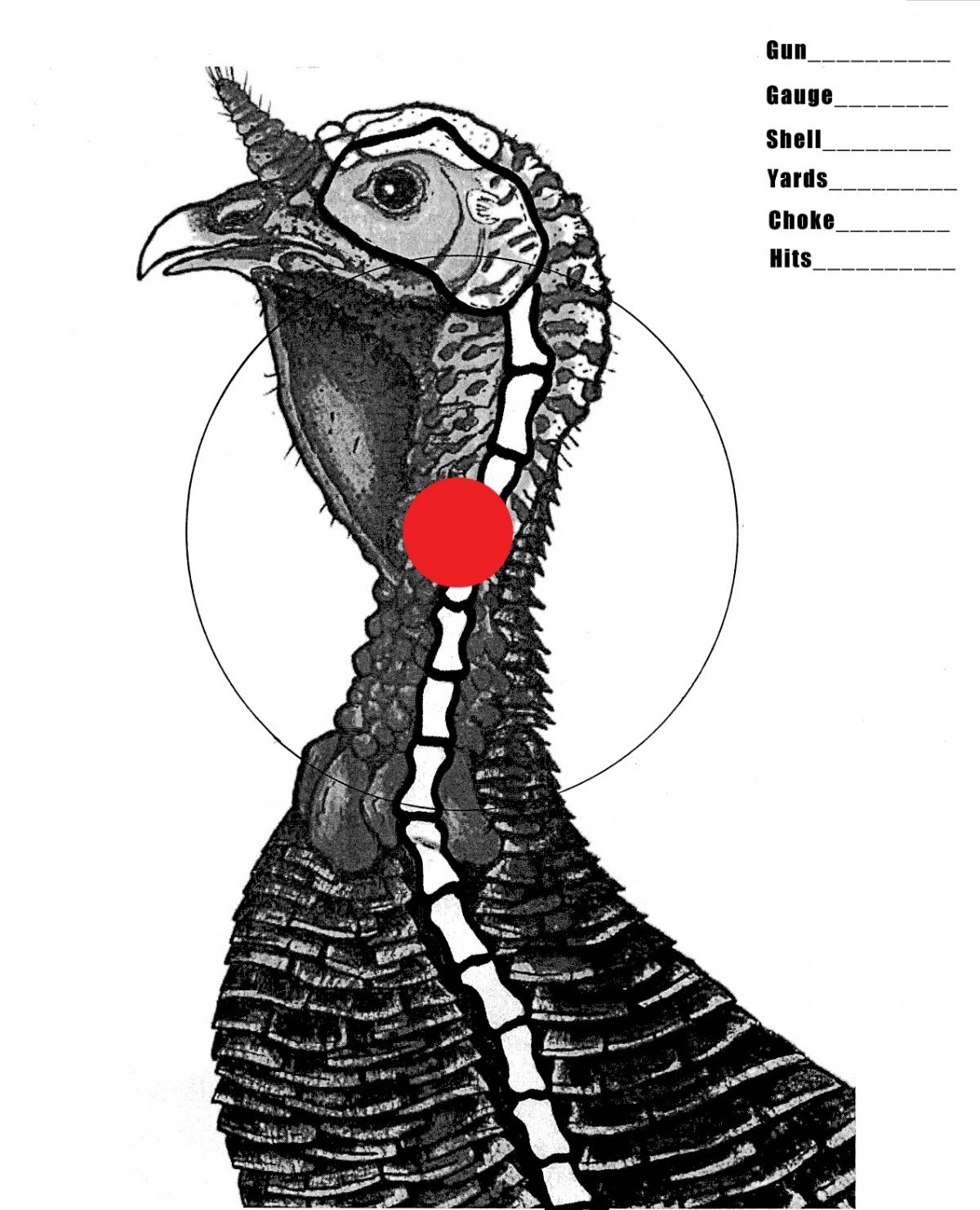 Advice Needed On A Youth 20 Gauge Turkey Setup Youth Hunters CouesWhitetail Discussion Forum