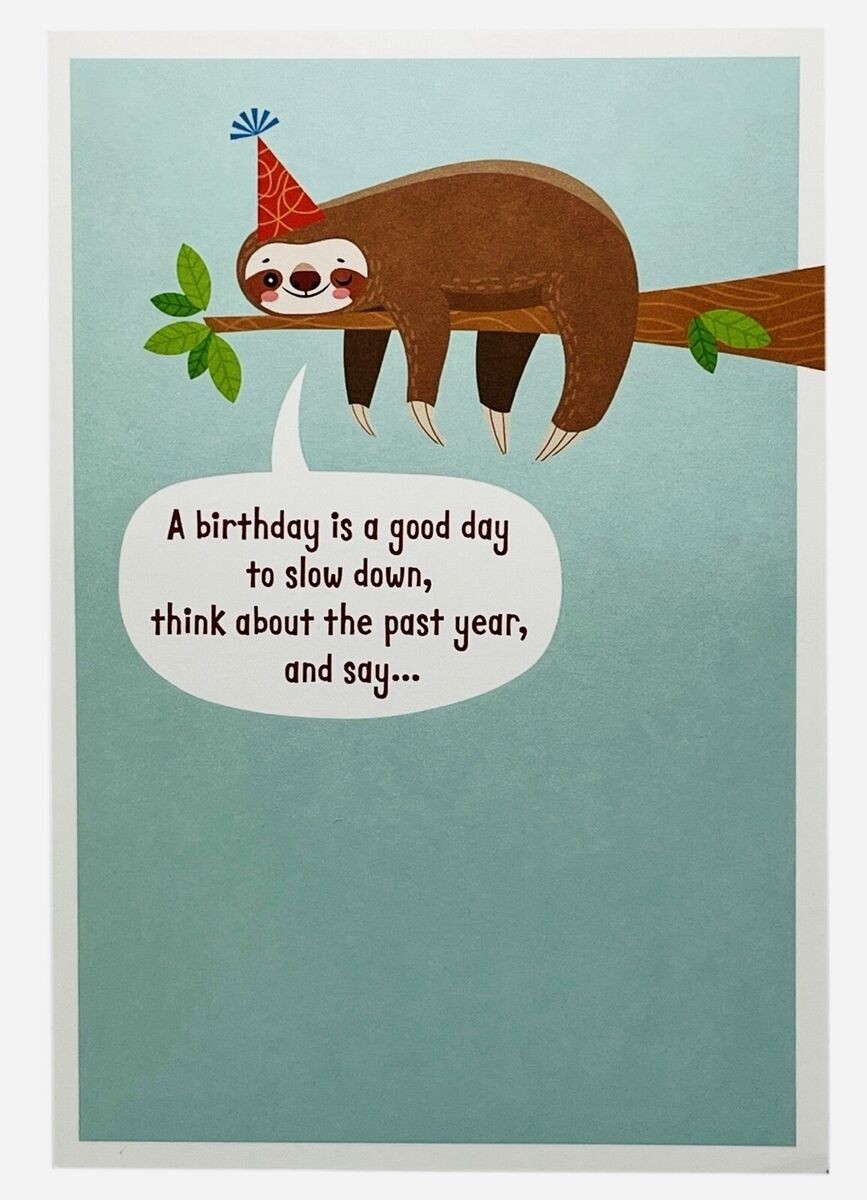 Birthday Card For Anyone Cute Sloth Funny Hallmark Sentimental Studios Card NEW EBay