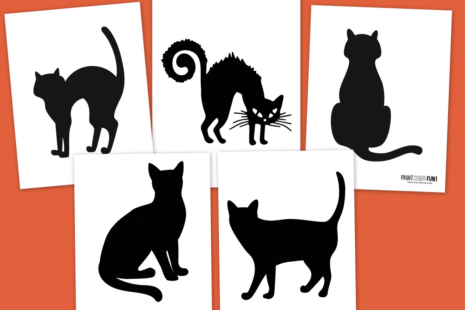 Black Cat Pumpkin Carving Stencils 5 Cats For Halloween At PrintColorFun