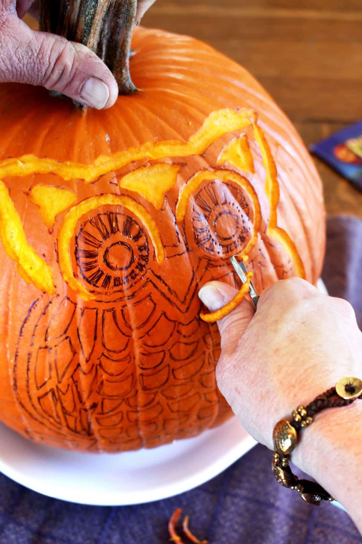 Owl Pumpkin Carving Templates Printable Free
