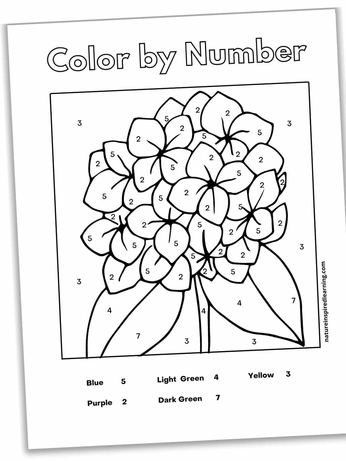 Free Printable Paint By Number Sheets