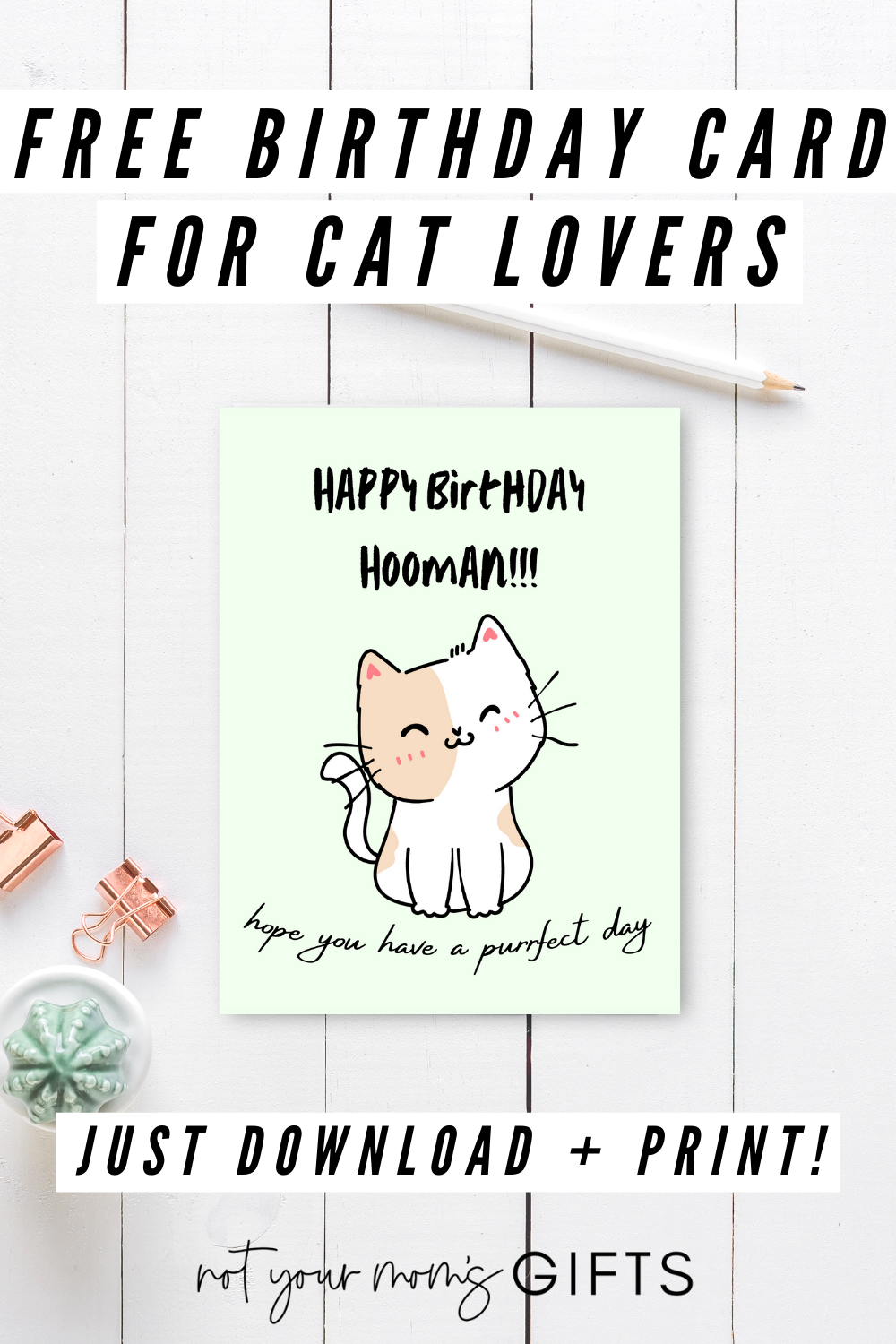Free Birthday Card For Cat Lovers Not Your Mom s Gifts