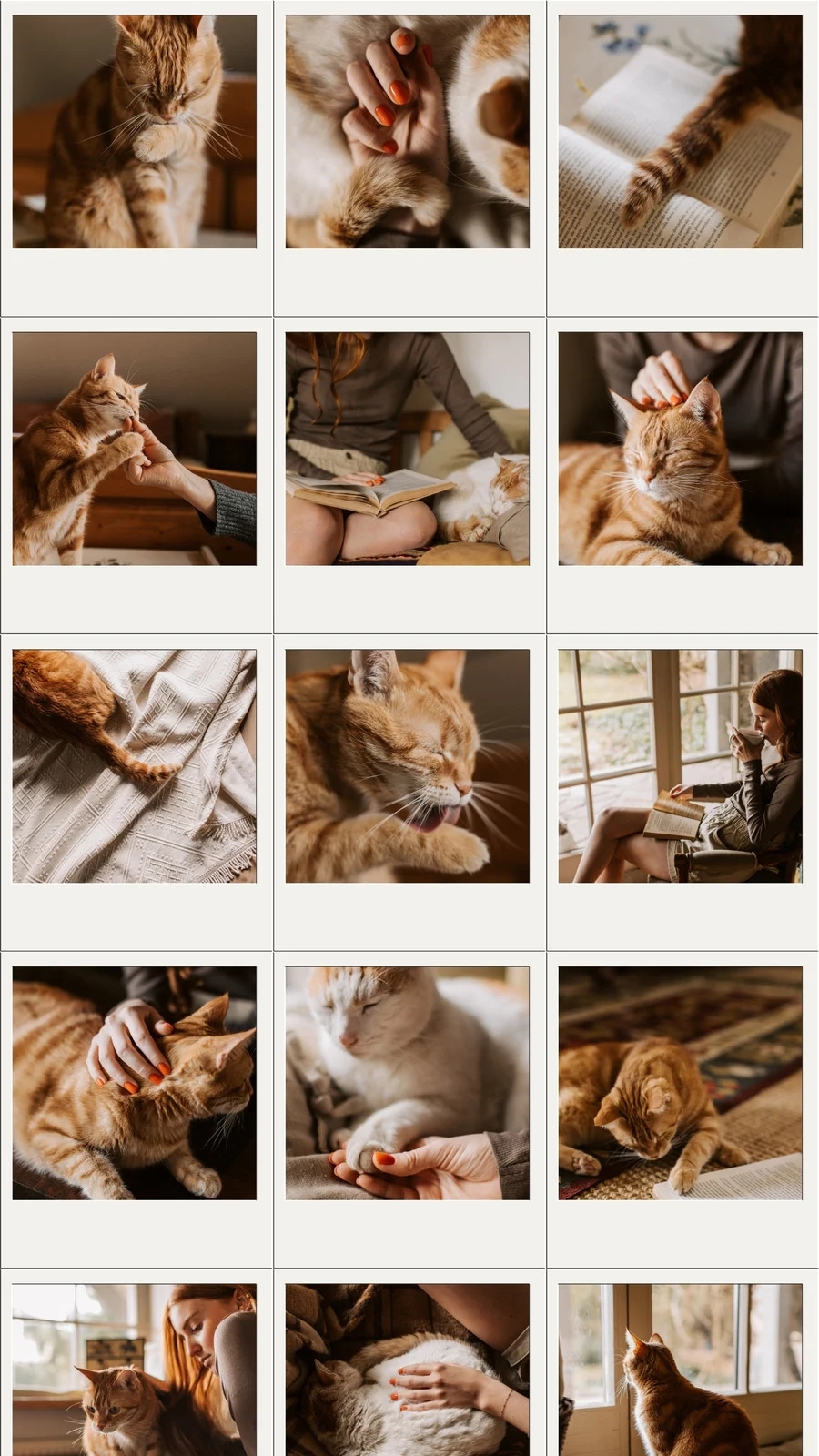 Free Customizable Cat Phone Wallpaper Templates Canva