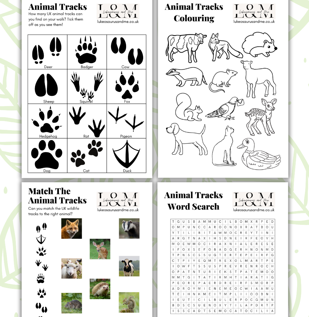 Free Nature Printables For Kids British Wildlife Tracks Worksheets Lukeosaurus And Me