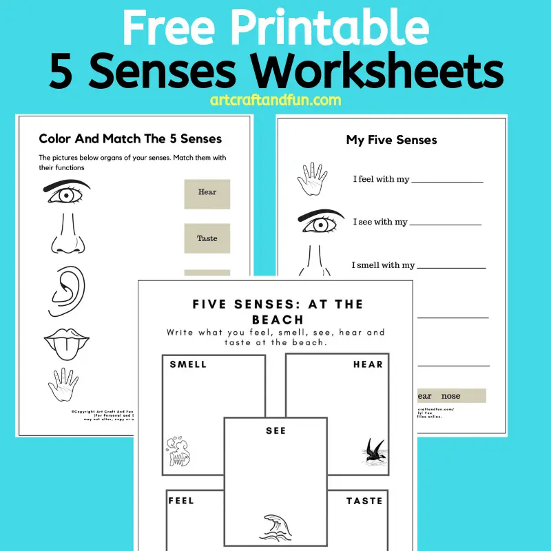Free Preschool Printables The 5 Senses