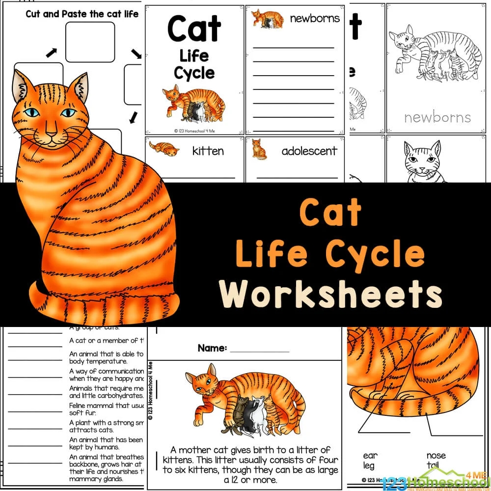 Free Printable Photos Of Cats