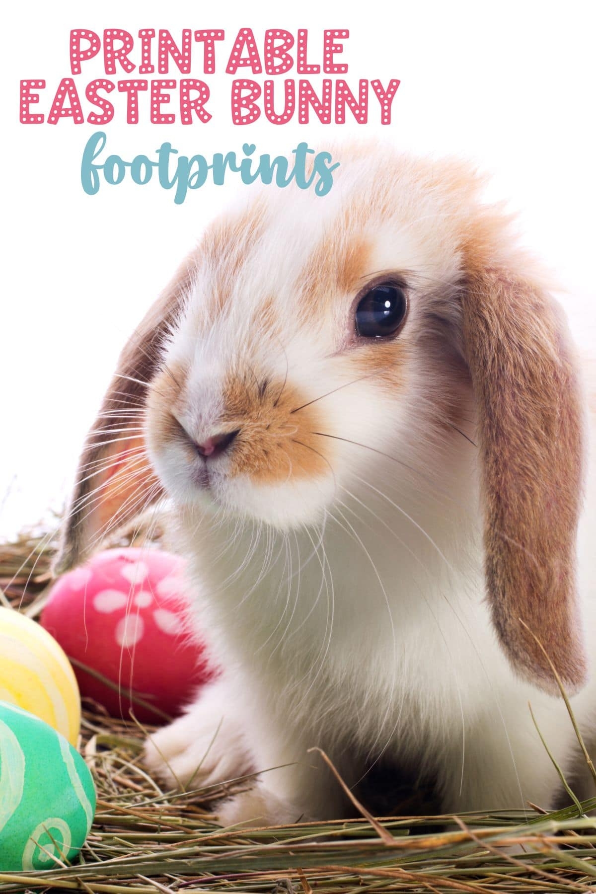 Free Printable Easter Bunny Footprints Life Is Sweeter By Design