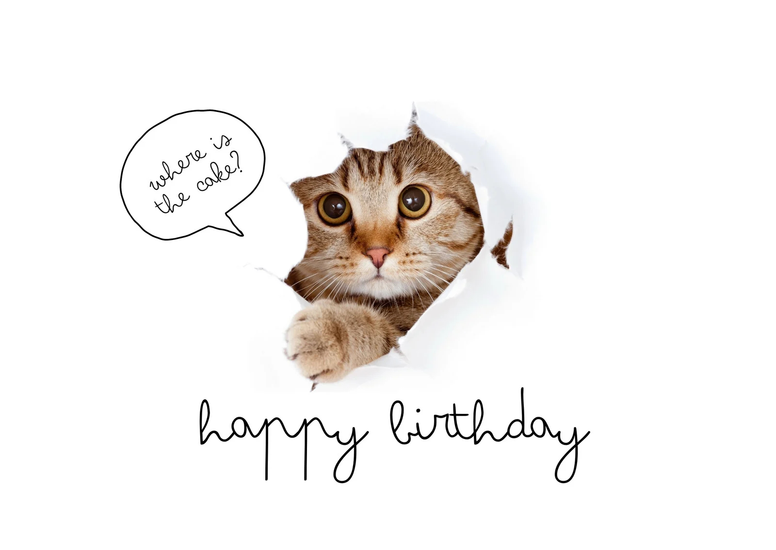 Free Birthday Cards Printable Funny