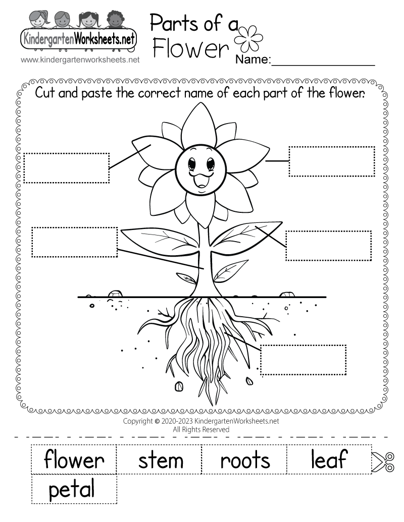 Free Printable 1st Grade Worksheets Science