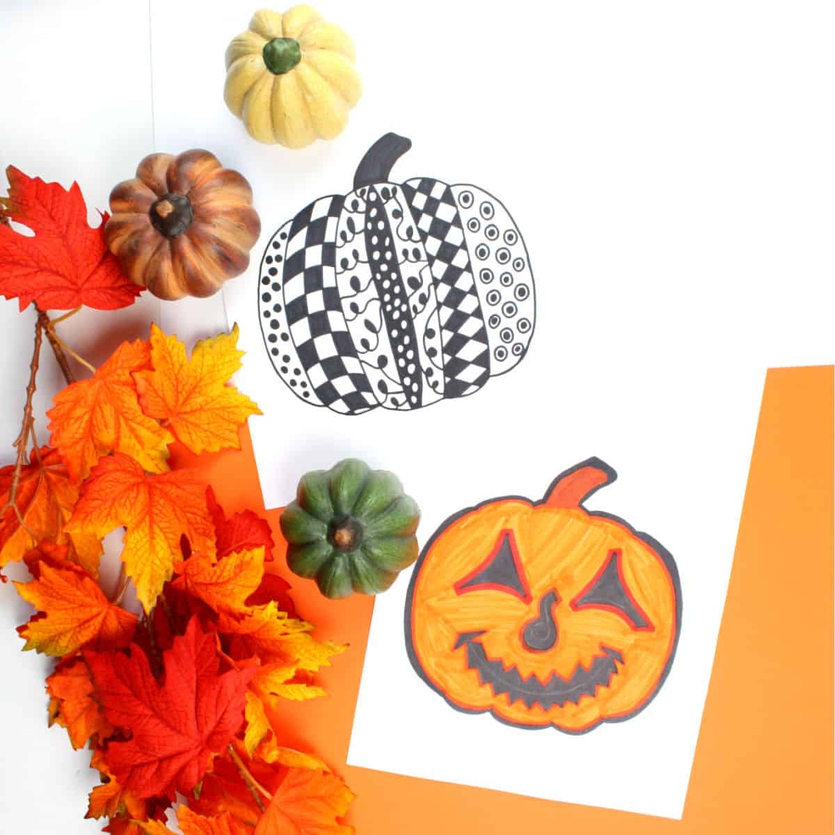 Free Printable Pumpkin Templates Emma Owl