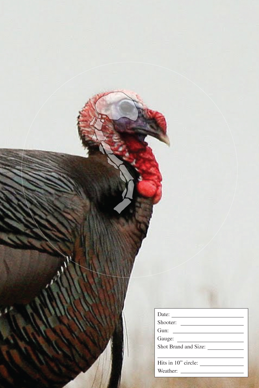 Free Printable Turkey Targets VanHelden Game Calls