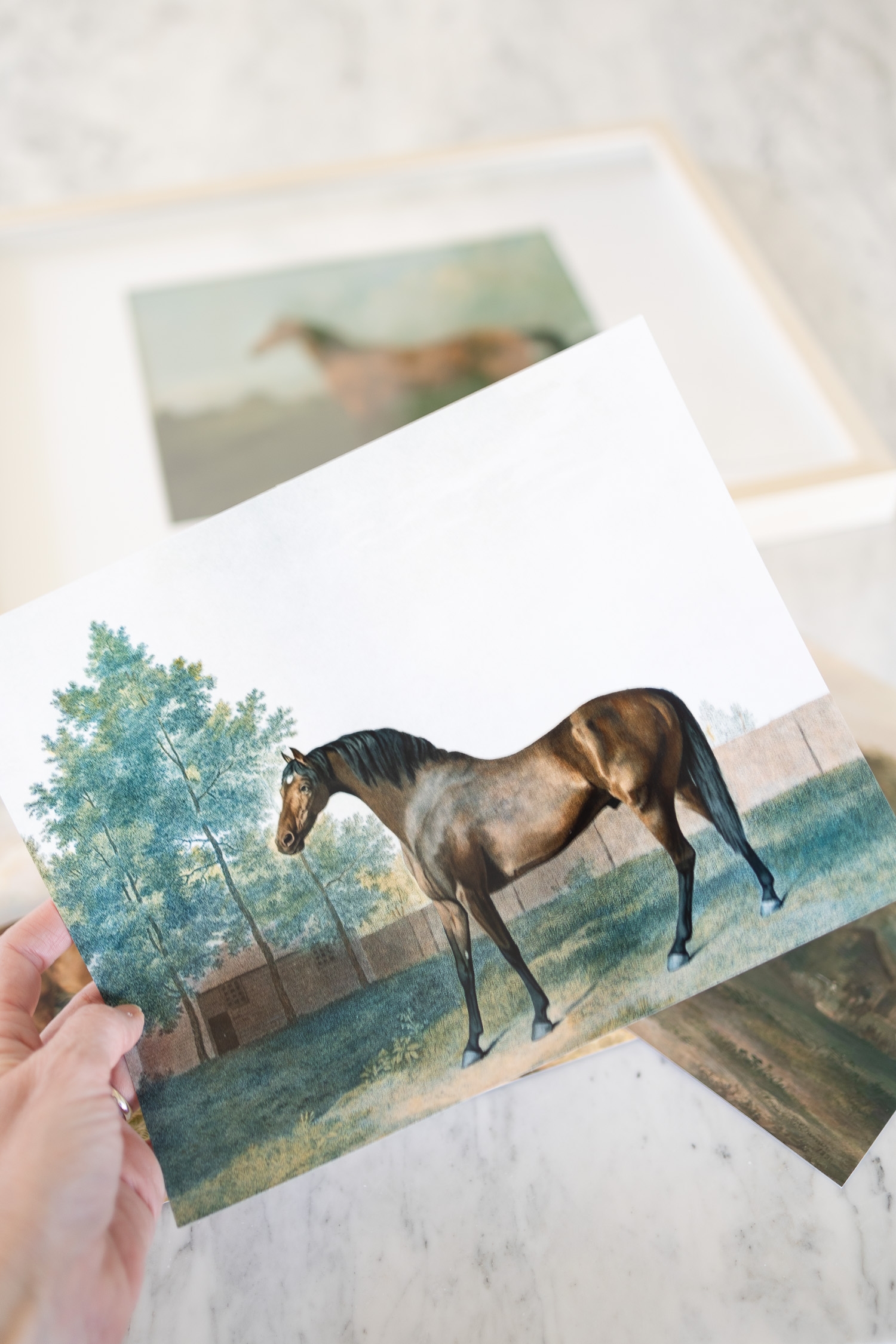 Free Printable Photos Of Horses