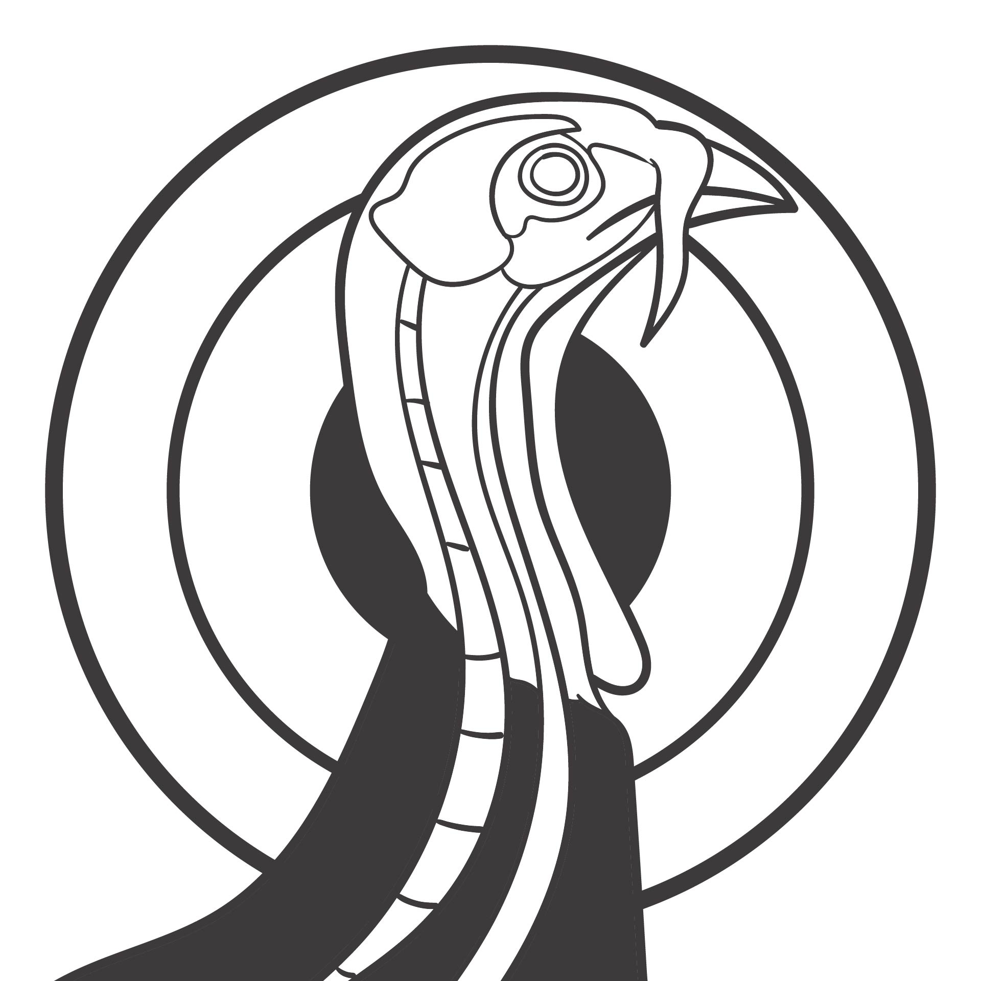 Paper Turkey Targets HuntingNet Forums Worksheets Library