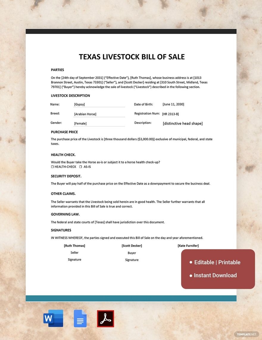 Texas Auto Bill Of Sale Template In PDF Word Google Docs Download Template