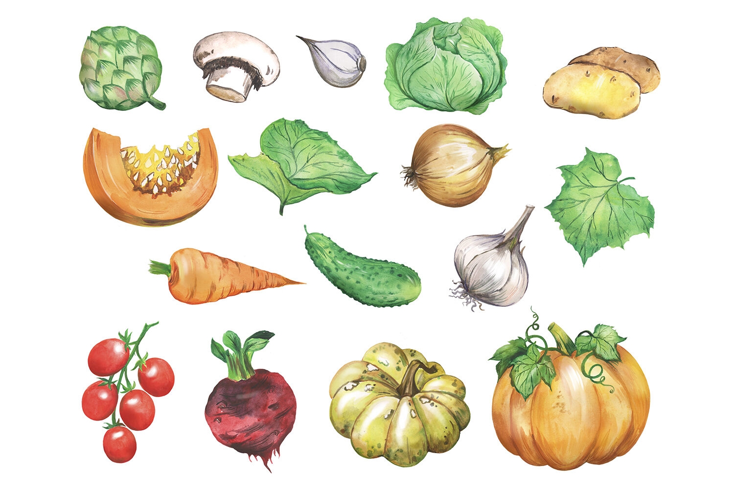Vegetables Watercolor Clipart Veggie Food Vegetable Print Food Art By Evgeniia Grebneva Painting TheHungryJPEG
